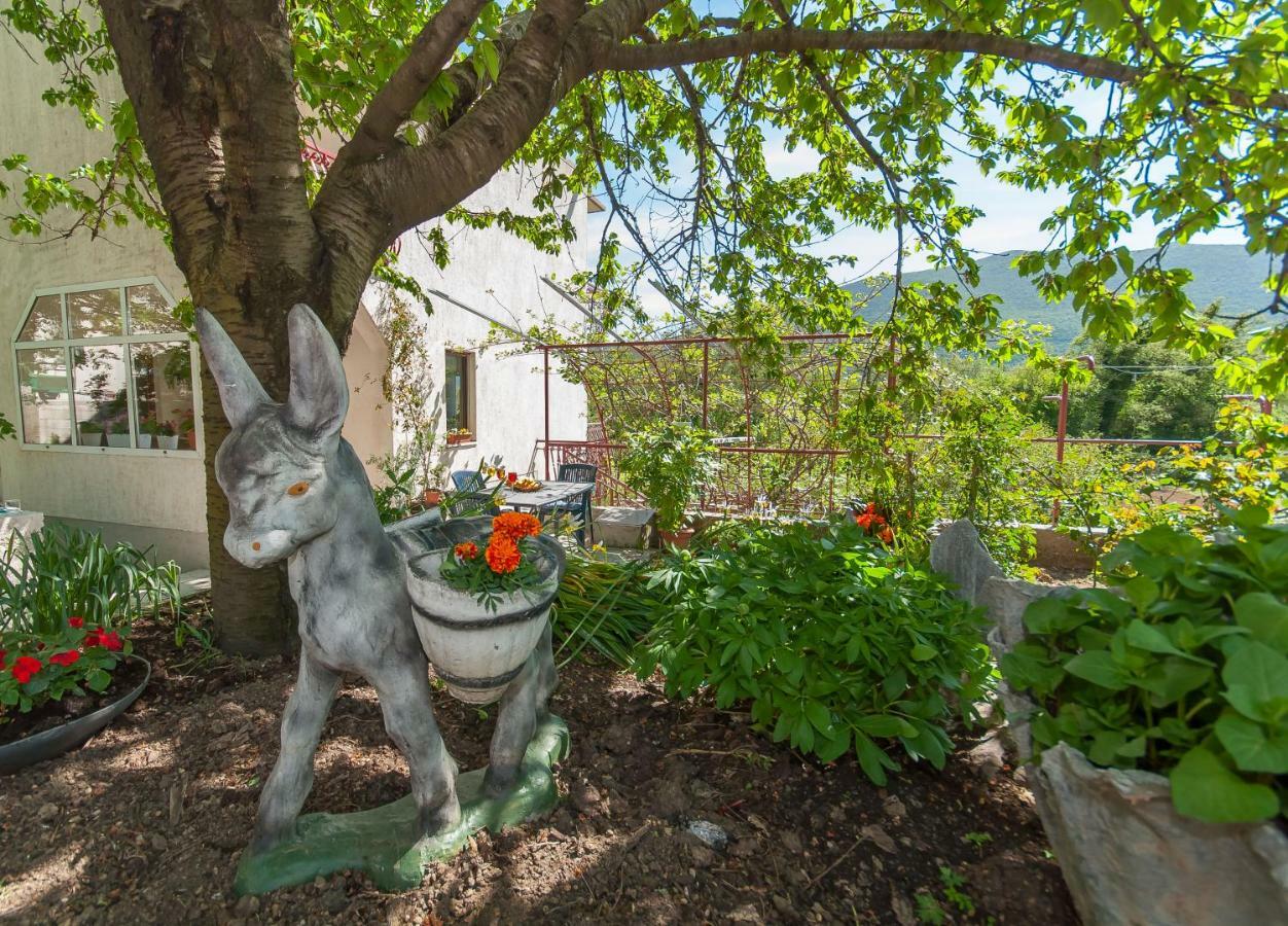 Apartament Green Valley Omiš Exteriér fotografie